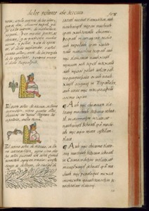 Códice Florentino, — Páginas con glifos y texto en náhuatl — Bernardino de Sahagún