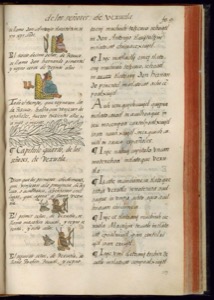 Páginas de un códice prehispánico con glifos y texto — Bernardino de Sahagún