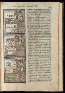 Página de un códice o manuscrito ilustrado