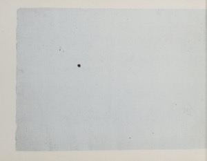 Una superficie rectangular de tono gris claro — Anónimo tlacuilo (Códice Magliabecchiano)