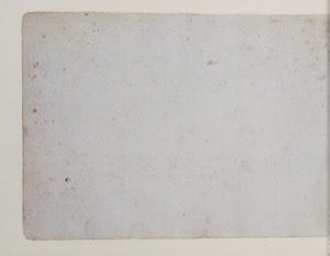 Superficie rectangular de color claro — Anónimo tlacuilo (Códice Magliabecchiano)