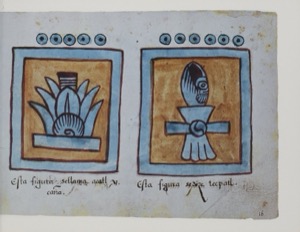 Lámina 39 — Códice Magliabecchiano