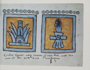 Figuras del Códice Ixtlilxochitl: Planta y Figura Antropomorfa — Anónimo tlacuilo (Códice Ixtlilxóchitl)