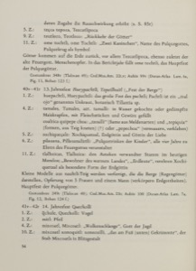 Descripción de Figuras Mitológicas y Antiguas Civilizaciones — Anónimo tlacuilo (Códice Magliabecchiano)