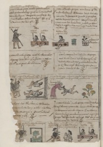 Página de un códice colonial que ilustra diversas escenas — Anónimo novohispano