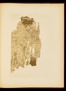 Página de un documento antiguo con un fragmento irregular — Tlacuilo anónimo, tradición mixteca