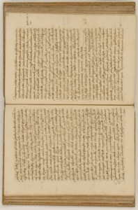 Páginas abiertas de un antiguo manuscrito o códice — Anónimo novohispano