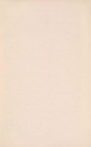 Una página en blanco con una textura sutil y uniforme — Anónimo novohispano