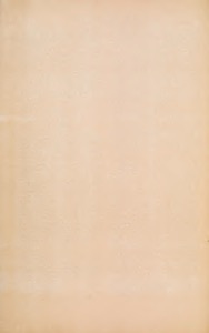 Superficie lisa y envejecida — Anónimo novohispano