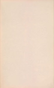 Una superficie monocromática de tono beige claro — Anónimo novohispano