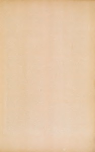 Superficie lisa de tono beige claro — Anónimo novohispano