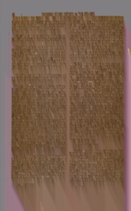 Página de un antiguo documento o libro — Anónimo novohispano