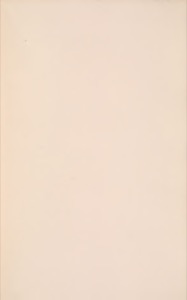 Una superficie rectangular de color beige claro — Anónimo novohispano