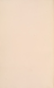 Superficie lisa de color beige claro — Anónimo novohispano