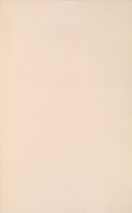 Una superficie monocromática de tono beige claro — Anónimo novohispano