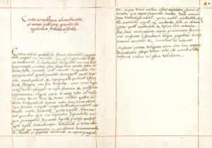 Página de un manuscrito antiguo con texto escrito a mano — Martín de la Cruz