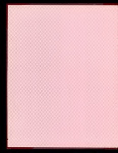 Patrón geométrico en tono rosa pálido — Tlacuilo anónimo, tradición mixteca