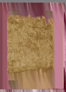 Una imagen altamente degradada que presenta una sección central rectangular