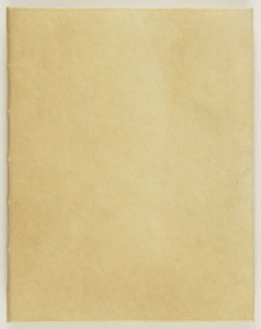Una hoja en blanco de papel o pergamino envejecido — Anónimo tlacuilo mexica (Códice Cozcatzin)
