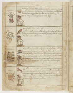 Páginas del Códice Florentino con ilustraciones y glifos — Anónimo tlacuilo mexica (Códice Cozcatzin)
