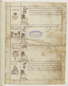 Lámina — Códice Cozcatzin — Anónimo tlacuilo mexica (Códice Cozcatzin)