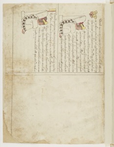Lámina — Códice Cozcatzin — Anónimo tlacuilo mexica (Códice Cozcatzin)