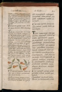 Vol1 300dpi — Bernardino de Sahagún (coord.)