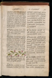 Vol1 300dpi — Bernardino de Sahagún (coord.)
