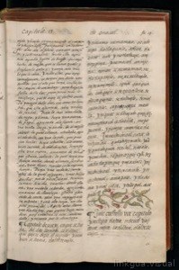 Página de un manuscrito antiguo con texto escrito a mano