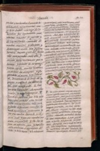 Vol1 300dpi — Bernardino de Sahagún (coord.)