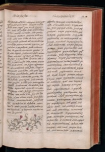 Páginas de un antiguo libro con texto y ornamento floral — Bernardino de Sahagún