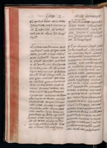 Página de un manuscrito antiguo — Bernardino de Sahagún (coord.)