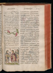 Página ilustrada de códice prehispánico con escritura náhuatl — Bernardino de Sahagún