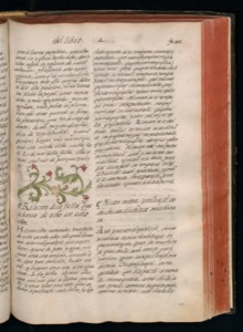 Página de un códice o manuscrito antiguo — Bernardino de Sahagún (coord.)