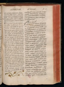 Vol1, lámina — Bernardino de Sahagún