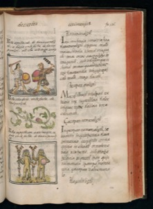 Página de un códice o manuscrito iluminado — Bernardino de Sahagún (coord.)
