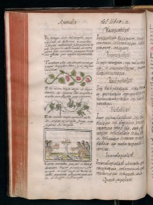 Vol1 300dpi — Bernardino de Sahagún (coord.)