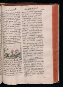 Página de un manuscrito o libro antiguo abierto — Bernardino de Sahagún (coord.)