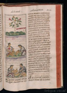 Páginas de un códice colonial con ilustraciones botánicas y escenas cotidianas