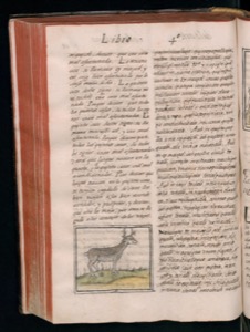 Vol1 300dpi — Bernardino de Sahagún (coord.)