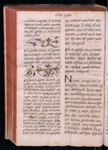 Vol1 300dpi — Bernardino de Sahagún (coord.)