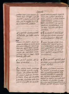 Páginas de un antiguo volumen encuadernado — Bernardino de Sahagún (coord.)