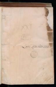 Página envejecida de un manuscrito o códice — Bernardino de Sahagún (coord.)