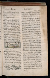 Página de un libro impreso antiguo — Bernardino de Sahagún (coord.)