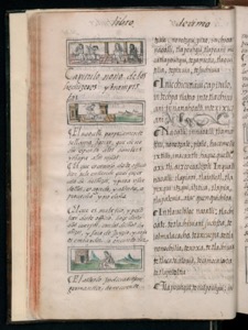 Vol3, lámina — Bernardino de Sahagún (coord.)