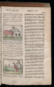 Vol3, lámina — Bernardino de Sahagún (coord.)