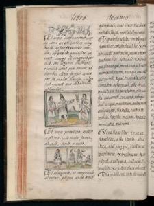 Códice Florentino, — Vol. 3, lámina — Bernardino de Sahagún (coord.)