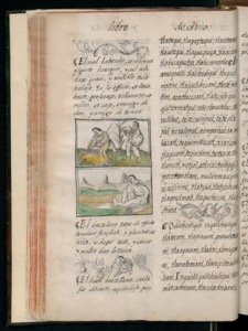 Página de un códice o libro antiguo con texto manuscrito — Bernardino de Sahagún (coord.)