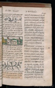 Códice Florentino, vol. 3, lámina 113