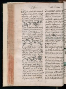 Página de un libro antiguo con texto impreso en columnas — Bernardino de Sahagún (coord.)